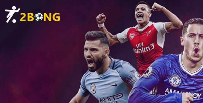 bóng cỏ là gì bóng cỏ là gì